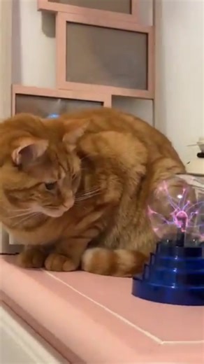 Monstercat on TikTok