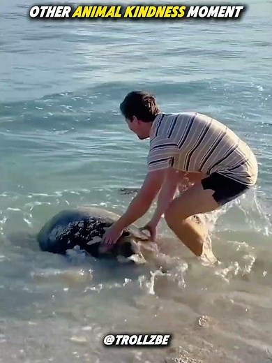 Best Acts of kindness #fyp #usa #unitedstates