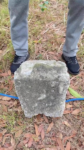 Construction Tips and Tricks – How to Tie Rebar Fast and Securely! | Surpertask DIY 11