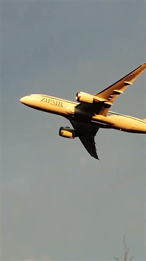 成田さくらの山公園