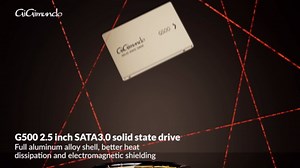 GiGimundo G500 2.5" SATA Solid State Drive 128GB – High-Speed SSD, Durable Lightweight Aluminum, Data Storage Solution for Laptops, Desktops, 2.5 SATA Enclosures - Rose Gold