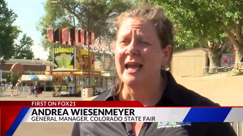 Funnel cakes, amusement rides, and pole dancing?