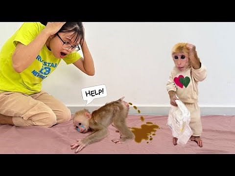 Baby monkey is in trouble! Stomach pain and nonstop diarrhea – Lucky and mom are panicking!