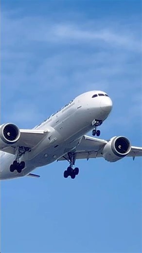 羽田空港スポッティング #aircraftlanding #hanedaairport #jal #b737 #spotting #aircraft #aviation