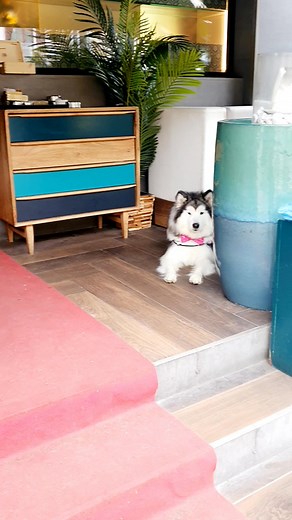 33K views · 1.8K reactions | Totul sub control!殺 | Lunica | Facebook