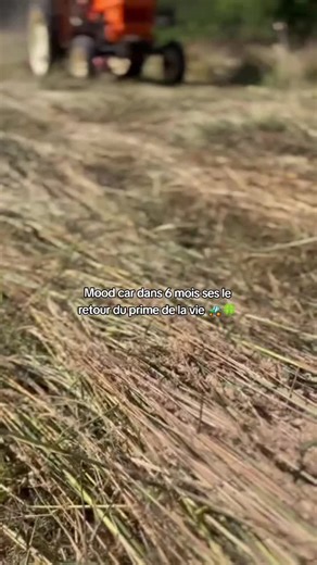 Foin 2k26 🚜🍀 #someca #agriculture #pourtoii #ete2026 #republication