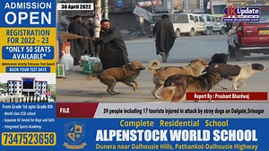 46K views · 737 reactions | 39 people including 17 tourists injured in attack by stray dogs on Dalgate,Srinagar | Jkupdate News | Facebook
