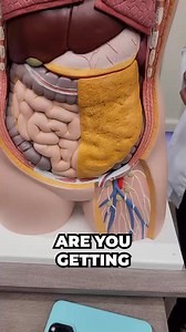 53K views · 767 reactions | Symptoms Of Diverticulitis You Shouldn't...