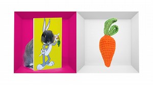 Cartoon Network Idents 2023