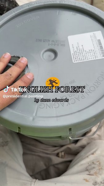 Transform Your Home with Beautiful Forest Green Paint