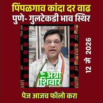 onion | कांदा बाजार भाव पिंपळगावला वाढ; पुणे स्थिर | todayonion