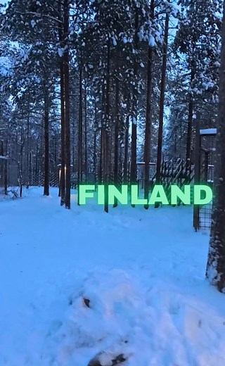 31K views · 3.2K reactions | Magical Walk Through Husky Village:...