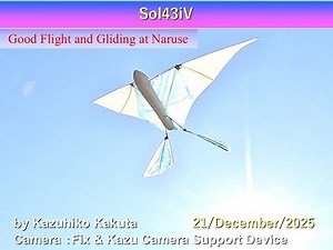 Ornithopter 羽ばたき機 Sol43iV: Good Flight and Gliding at Naruse