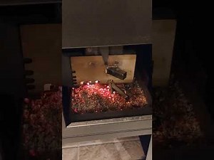 Gap2020 pellet stove