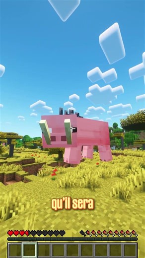 Ne fais pas confiance à ce cochon 😱