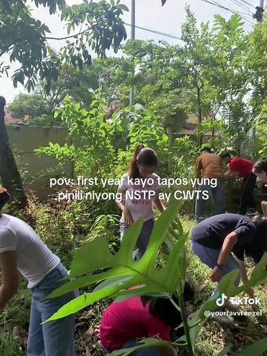 Understanding NSTP CWTS for First Year College Students