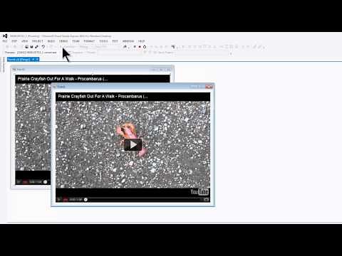VB Express 2012 Desktop Tutorial 11 - Playing YouTube Videos With Shockwave Flash Player