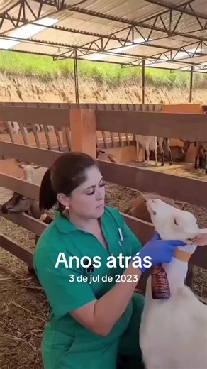 Boqueira: Tratamento e Cuidados Necessários