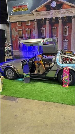 Back To The Future DeLorean replica at Chicago C2E2 comic con convention.