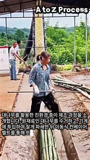 대나무 숲에서 종이까지? 놀라운 제지 공정 현장 #worker #process #bamboowork #technology #production
