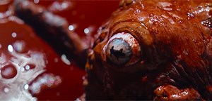 Disgusting Teaser Trailer for Extreme Gross-Out Horror Comedy 'Cyst' | FirstShowing.net