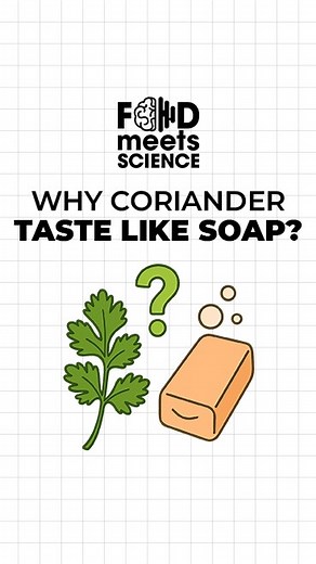 🌿 Love it or hate it… why does coriander (cilantro) divide people so much? The secret isn’t in the herb it’s in your genes. 🧬 🔹Coriander contains aldehydes flavour compounds also found in soaps and detergents. 🔹Most people perceive them as fresh, citrusy, herbal. 🔹But those with a variation of the OR6A2 gene are extra-sensitive to aldehydes → to them, coriander tastes soapy and unpleasant. It’s not about being picky - it’s literally how your DNA processes flavour. 🌱 So coriander isn’t univ
