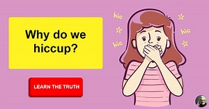 What causes hiccups? This educational video throws light on the nature of this phenomenon.