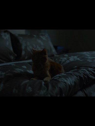 Explore the Themes of Gone Girl Movie