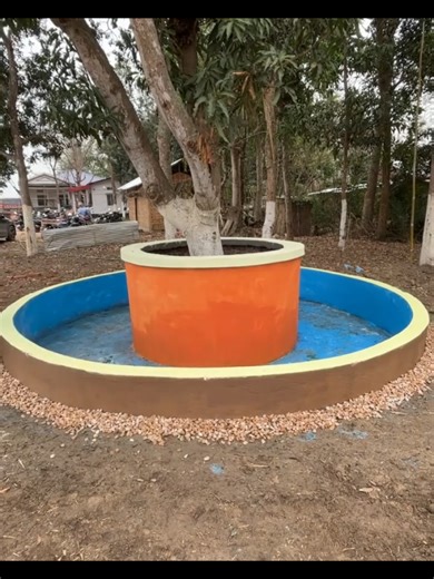 Creative Tree Pool Design Ideas