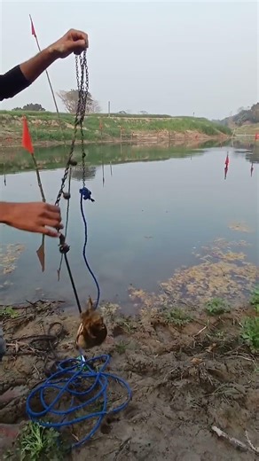 Amazing Shark Hunting river with fish #reels #fishing #fishinggear