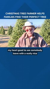 Christmas tree farmer helps families find the perfect tree