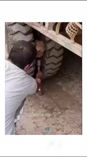 Tài khoản được đề xuất