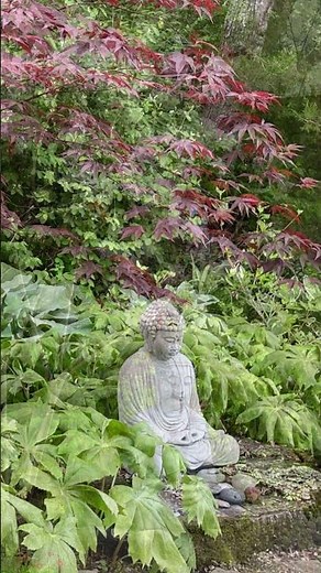 Designing Your Meditation Garden: Feng Shui tips for Inner Peace
