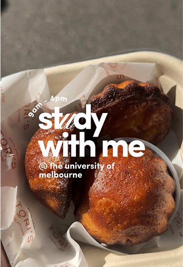 Study With Me: Uni of Melbourne Student Assignments & Burnout