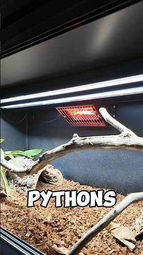 how I heat my python tank for free