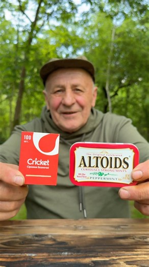 ✅ Survival Skills: Made Awesome Hiking Matches for Survival in the Wilderness 🌳💦 #survival