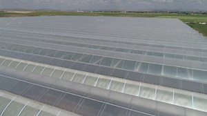 Industrial greenhouse farm - Free Stock Video