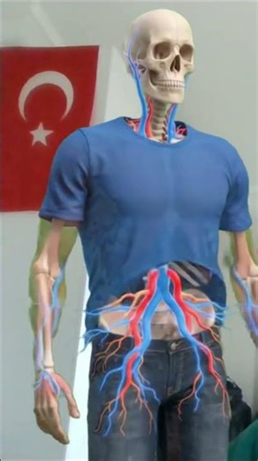 1.Bölüm: Temel 3'lü | Yazılım ve Teknoloji | #yazılım #webyazılım #teknoloji