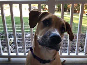 7.4K views · 578 reactions | Coconut sticks, digs, stalks and pounces through her week | Jack's World | Facebook