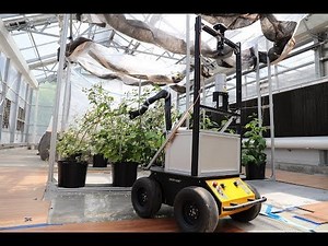 BrambleBee Greenhouse Pollination Experiment with QR Flowers
