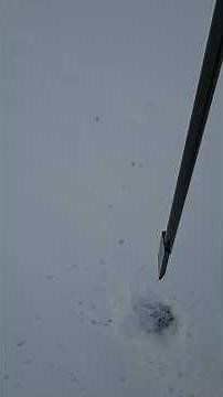 Ice Report Dickson Trout Pond #FishingCanada #WinterFishing #NorthernFishing #FishingNorth #alberta