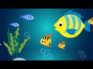 Bubbly Fish Wonderland | Baby Sensory Video