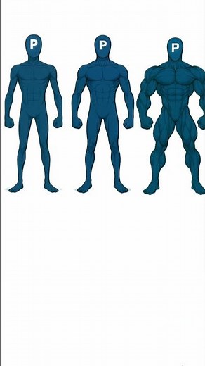 Body Level Ranking – What's YOUR Body Level?