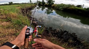 8.8K views · 250 reactions | #snsamazon | SNS Thailand | Facebook