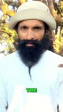 Brain Science: Limbic vs. Prefrontal Cortex Explained! #shorts