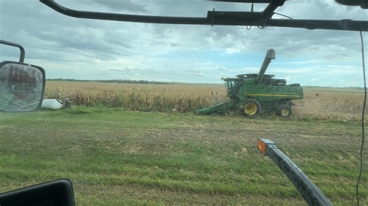 24K views · 715 reactions | Future vlogs (our 20 min long videos) will only be posted on YouTube from here on out. We will still be here on Facebook with picture posts and shorter videos. We harvest corn on our family farm in Kansas and Kendal works with cows and calves! | Peterson Farm Bros | Facebook