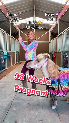 Pregnant Horse Girl Shares Mini Horse Pregnancy Journey