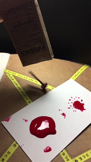 Get CSI, Grissom and Dexter. #miniaturetiktok #dollhouseminiatures #hottoyscollectilbes #evidence