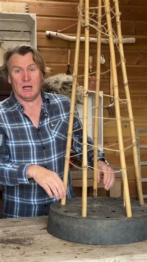 Never Buy Plant Supports Again #frugalgardening #hack
