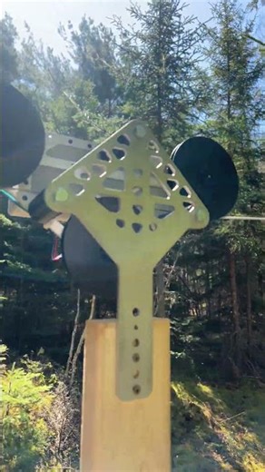 Testing the X1 Plus in the woods